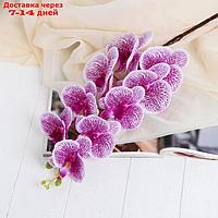 Цветы искусственные "Орхидея Тигровая" 90 см, бело-сиреневая