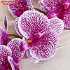 Цветы искусственные "Орхидея Тигровая" 90 см, бело-сиреневая, фото 2