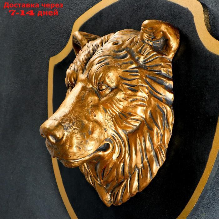 Панно "Голова медведя" бронза, щит черный 40см - фото 2 - id-p226964065
