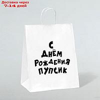 Пакет подарочный с приколами, крафт "Пупсик", белый, 24 х 14 х 30 см, набор 10 шт.