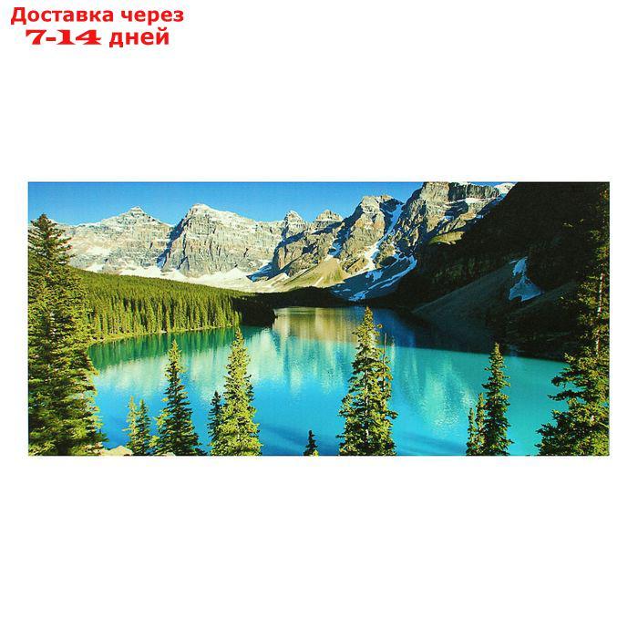 Картина- холст на подрамнике"Альпийская красота" 33*70см - фото 1 - id-p226964080