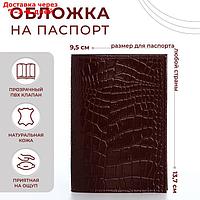 Обложка для паспорта, крокодил, цвет бордовый