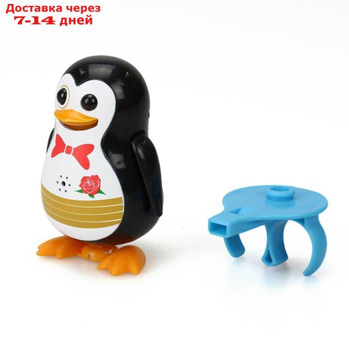 Пингвин с кольцом Digi Penguins - фото 6 - id-p227113840