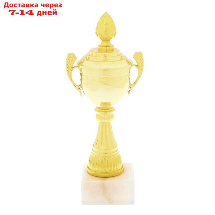 Кубок спортивный, золото, 21 × 8,5 × 6,8 см - фото 1 - id-p227104374