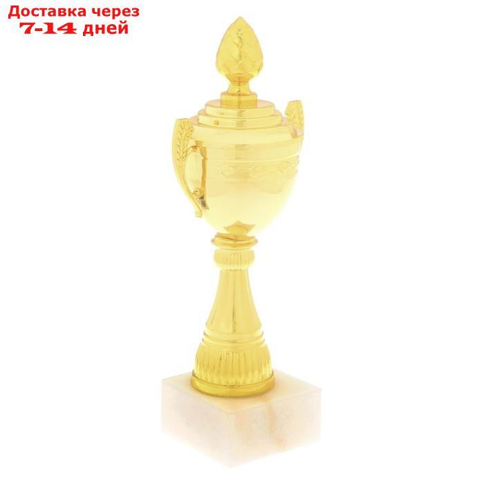 Кубок спортивный, золото, 21 × 8,5 × 6,8 см - фото 2 - id-p227104374