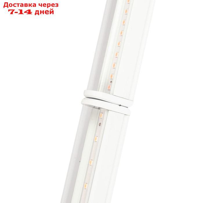 Светильник светодиодный для растений Uniel, 10 Вт, IP40, 560 мм, выкл., для фотос-за, белый - фото 8 - id-p227008603