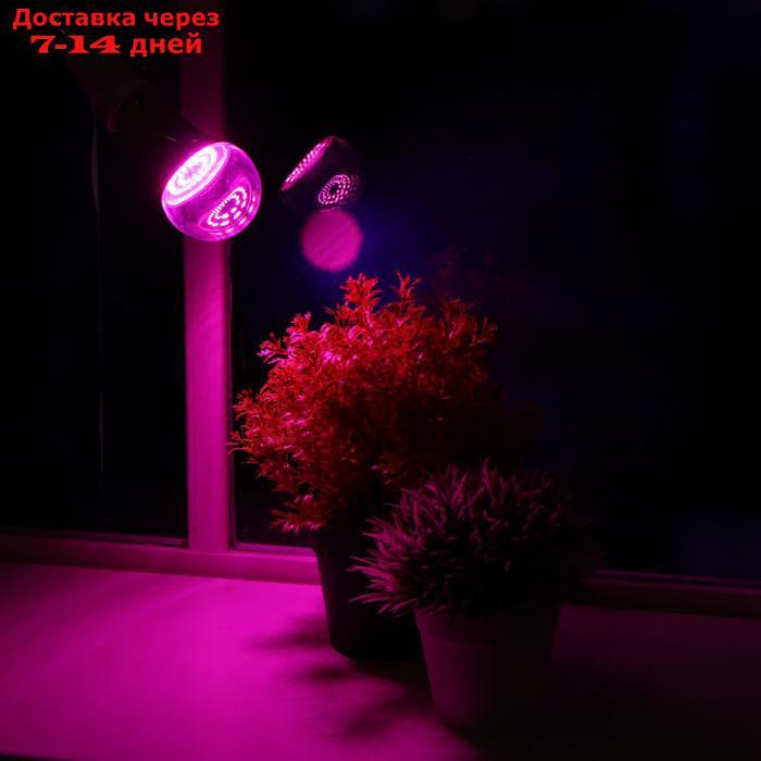 Лампа светодиодная для растений Uniel, А60, Е27, 15 Вт, спектр для рассады и цветения - фото 1 - id-p227008607