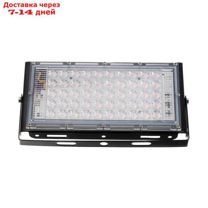 Прожектор ФИТО светодиодный модульный Luazon Lighting, для растений, 50Вт, IP65, 220В Черный - фото 3 - id-p227009116