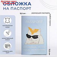 Обложка для паспорта 9,5*0,3*13,5 см, нат кожа, "Кот исполнитель", голубой