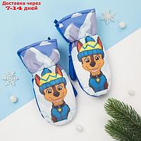 Рукавицы (варежки) зимние PAW PATROL "Гончик" р-р 13 (3-4 года), синий