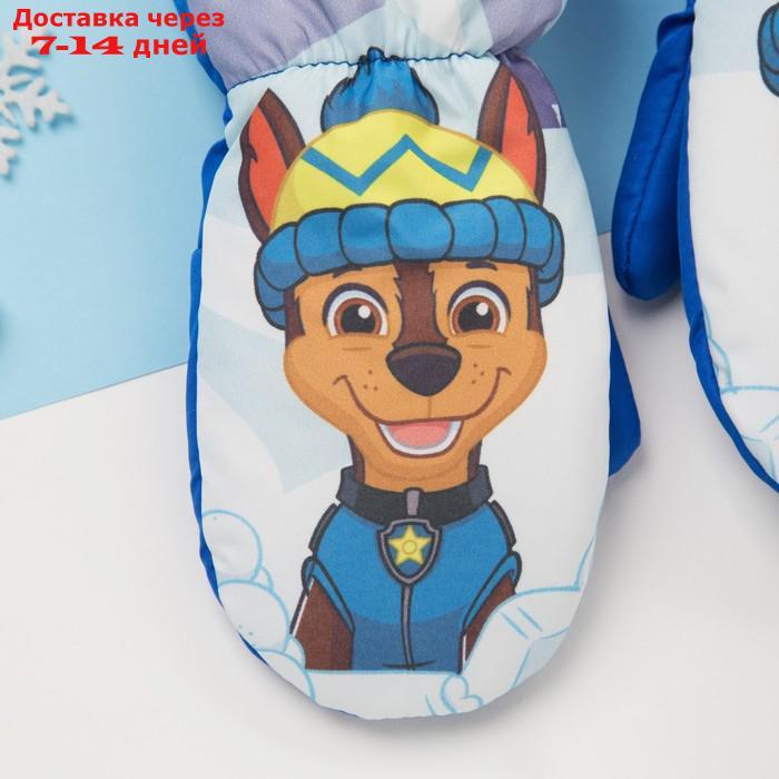 Рукавицы (варежки) зимние PAW PATROL "Гончик" р-р 13 (3-4 года), синий - фото 3 - id-p226951693