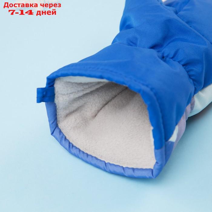 Рукавицы (варежки) зимние PAW PATROL "Гончик" р-р 13 (3-4 года), синий - фото 5 - id-p226951693