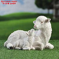 Садовая фигура "Овца с овечкой" 24х17х16см