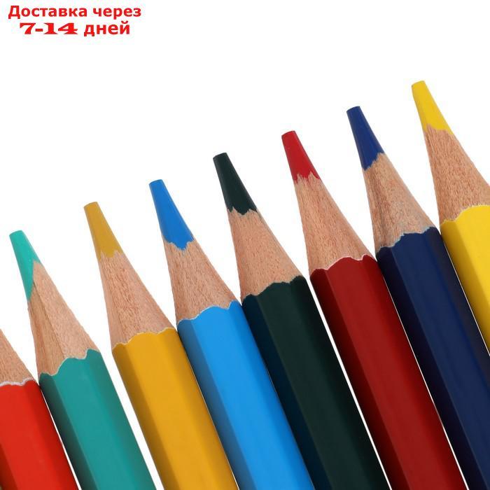 Цветные карандаши 36 цветов, Луч "Классика", шестигранные - фото 3 - id-p227120036