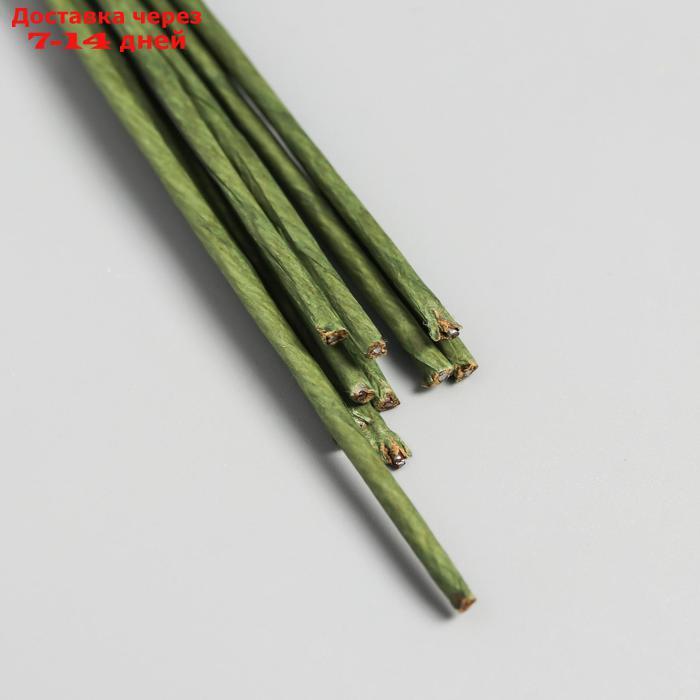 Набор проволоки для флористики d-2 мм, 60 см, 10 шт, зелёный - фото 1 - id-p227097488