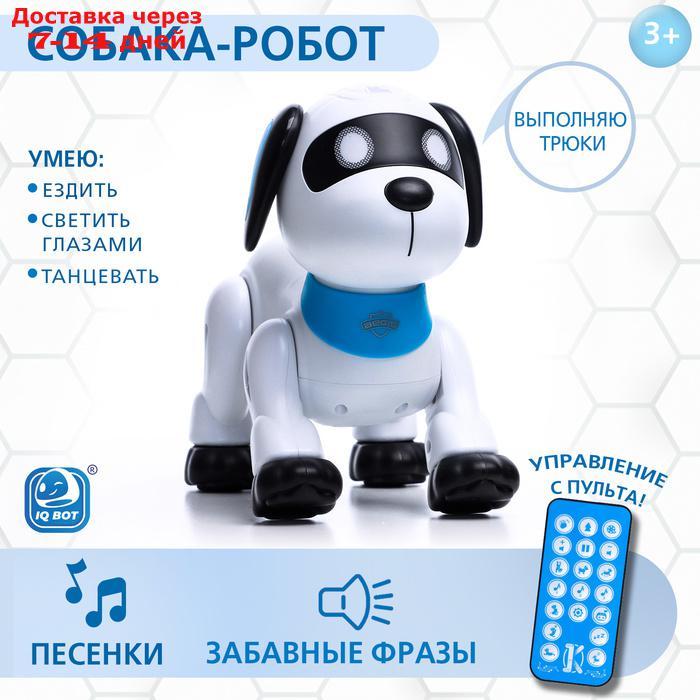 IQ BOT Робот-собака "Дружок Лакки", звук, свет SL-05864 - фото 1 - id-p227118732
