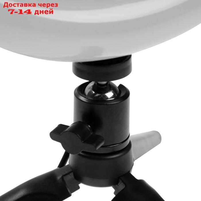 Светодиодная кольцевая лампа на штативе LuazON CB-31, 10" (26 см), 21 Вт, 3 режима, USB - фото 7 - id-p227099265