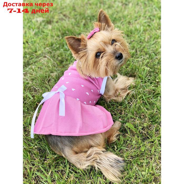Платье Osso для собак "Маленькая кокетка", размер 22 (ДС 21-23 см), розовое - фото 1 - id-p227106466