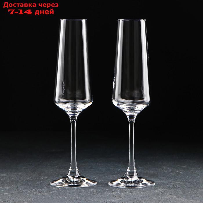 Набор бокалов для шампанского Corvus, 160 мл, 2 шт - фото 1 - id-p227121315