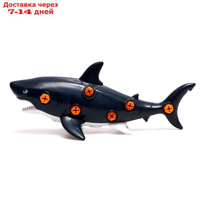 Конструктор винтовой "Акула", с отверткой - фото 2 - id-p227125628