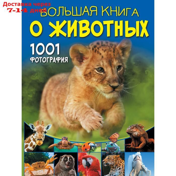 Большая книга о животных. 1001 фотография. Ермакович Д. И. - фото 1 - id-p226951769