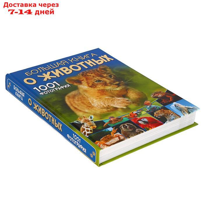 Большая книга о животных. 1001 фотография. Ермакович Д. И. - фото 2 - id-p226951769