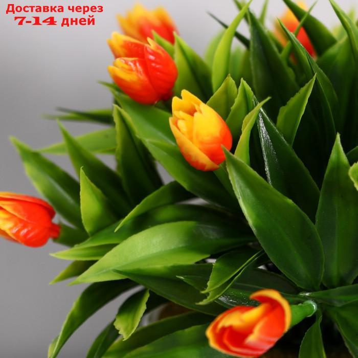 Бонсай 14*16 см с тюльпанами МИКС - фото 2 - id-p226964731