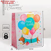 Пакет ламинированный Happy birthday, XL 49 × 40 × 19 см