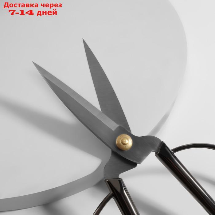 Ножницы портновские, скошенное лезвие, 7", 19 см, цвет серебряный - фото 2 - id-p227108480