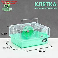 Клетка для грызунов "Пижон", 31 х 24 х 17 см, зелёная