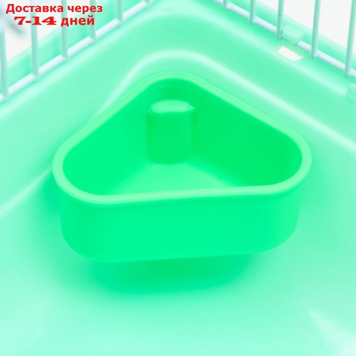 Клетка для грызунов "Пижон", 31 х 24 х 17 см, зелёная - фото 5 - id-p227120112