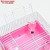 Клетка для грызунов "Пижон", 27 х 21 х 17 см, розовая, фото 4