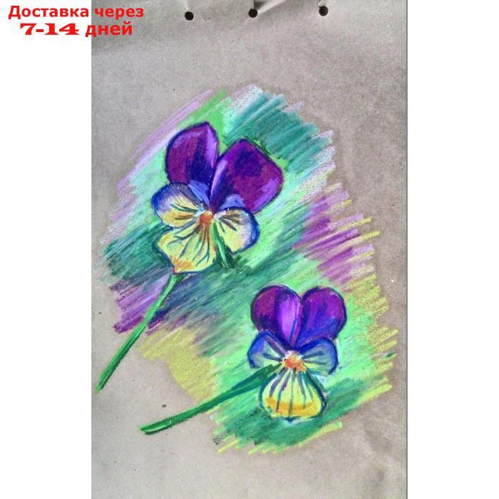 Пастель масляная, 50 цветов, Pentel, 8/60мм, в картоне - фото 6 - id-p226974788
