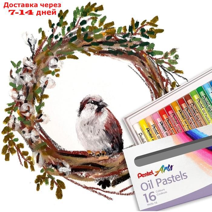 Пастель масляная, 16 цветов, Pentel, 8/60мм, в картоне - фото 10 - id-p226974791