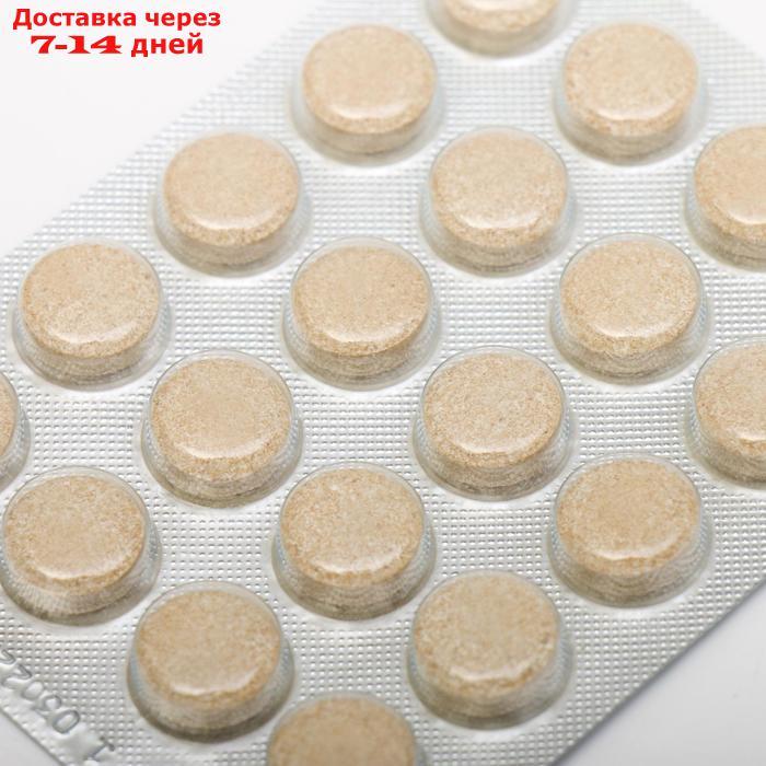 Эхинацея с прополисом и медом, 40 таблеток по 500 мг - фото 3 - id-p227001014
