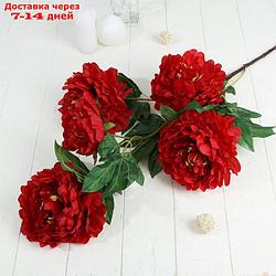 Цветы искусственные "Пион кустовой" 5 бутонов 15*110 см, красный