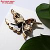 Брошь "Галиотис" колибри, цвет зелёный в чернёном золоте, фото 3
