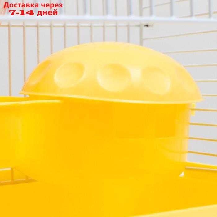 Клетка для грызунов "Пижон", 23 х 17 х 26 см, эмаль, жёлтая - фото 7 - id-p227120114