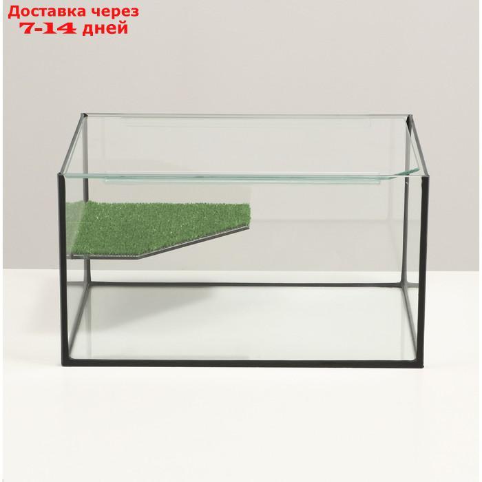 Террариум с покровным стеклом и мостиком 25 литров, 40х29х22 см - фото 2 - id-p227120117