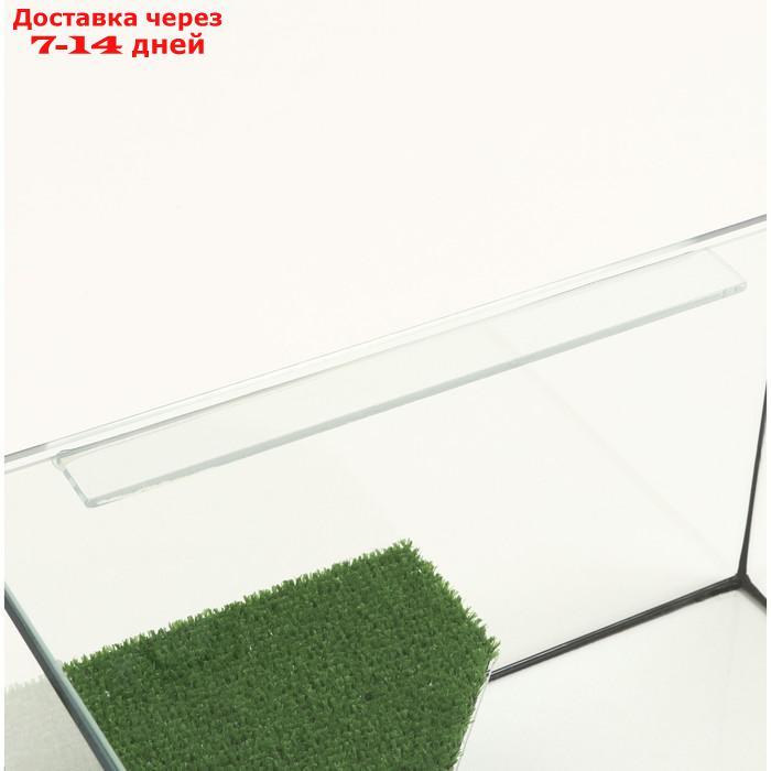 Террариум с покровным стеклом и мостиком 25 литров, 40х29х22 см - фото 5 - id-p227120117
