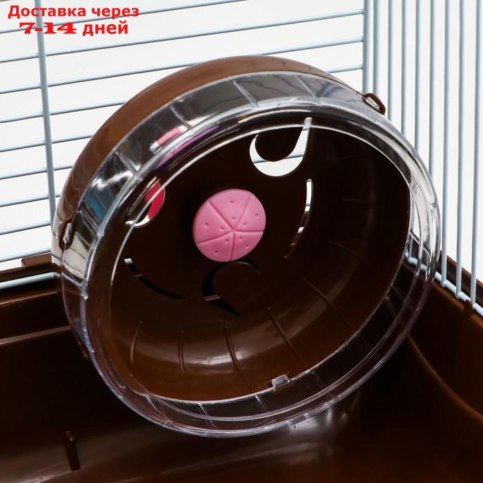 Клетка для грызунов "Пижон", двухэтажная с наполнением 31 х 24 х 29 см, коричневая - фото 8 - id-p227120118