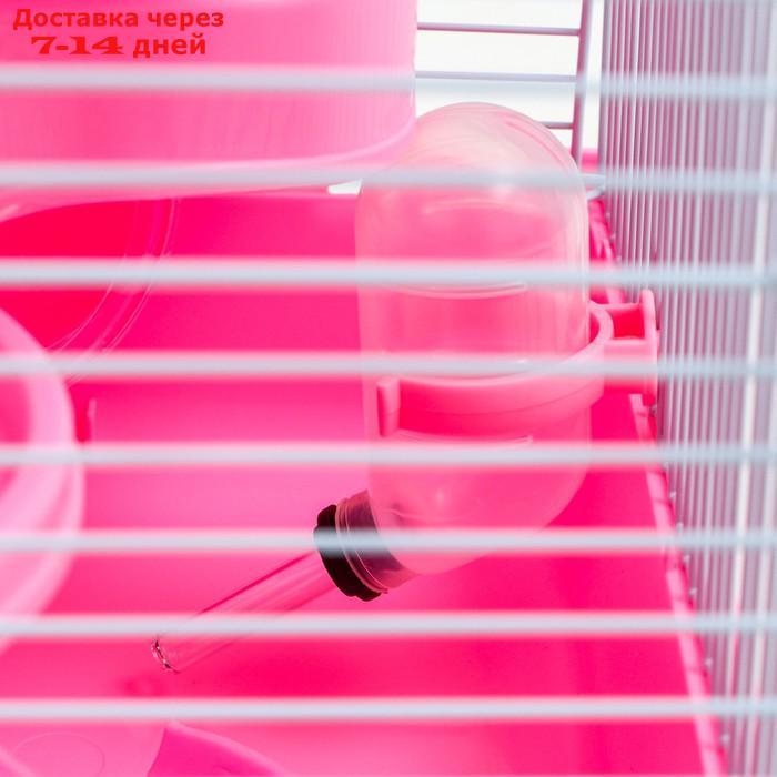 Клетка для грызунов "Пижон", 27 х 21 х 27 см, розовая - фото 6 - id-p227120121