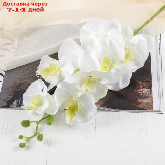 Цветы искусственные "Орхидея Изящная" 10*100 см, белая