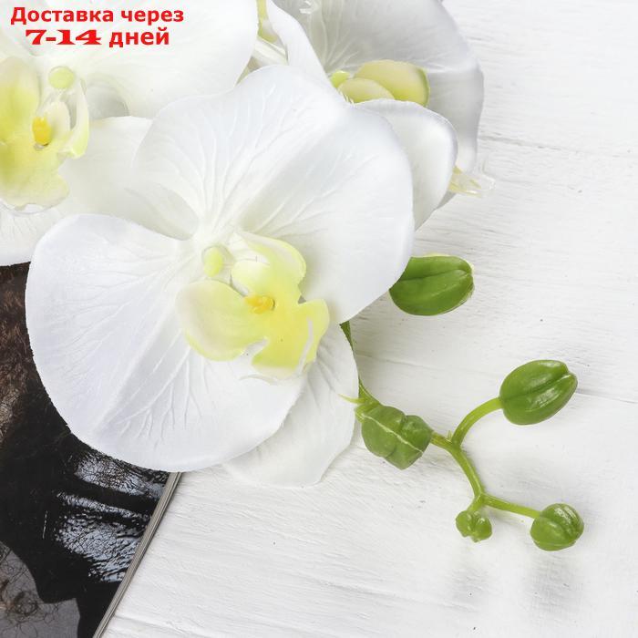 Цветы искусственные "Орхидея Изящная" 10*100 см, белая - фото 2 - id-p226965319