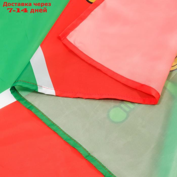 Флаг Пограничных войск, 90 х 135 см, полиэфирный шелк, без древка - фото 3 - id-p227128670