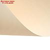 Папка для пастели А4, 210 х 297 мм, 20 листов, тонированная бумага, слоновая кость, ГОЗНАК "Скорлупа", 200г/м, фото 5