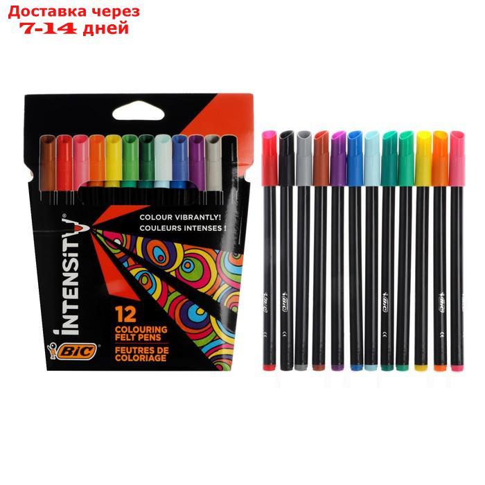 Цветные фломастеры 12 цветов, для подростков и взрослых, тонкое письмо, BIC Color Up - фото 1 - id-p227112466