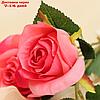 Цветы искусственные "Роза Глория" 8*48 см, малиновая, фото 2