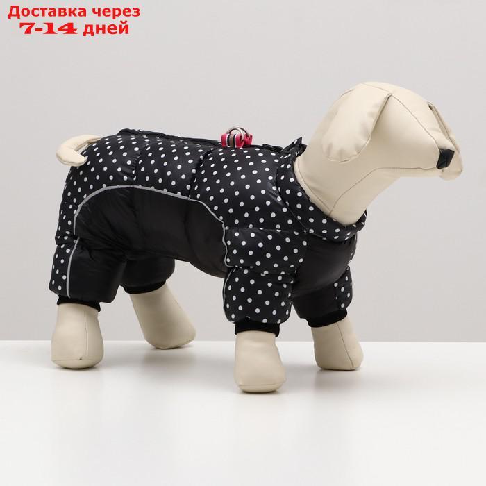 Комбинезон для собак "Горошек", размер 14 (ДС 32, ОГ 42, ОШ 31 см), чёрный - фото 1 - id-p227121417