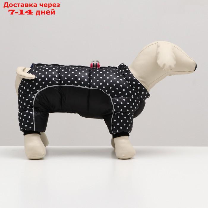 Комбинезон для собак "Горошек", размер 14 (ДС 32, ОГ 42, ОШ 31 см), чёрный - фото 2 - id-p227121417